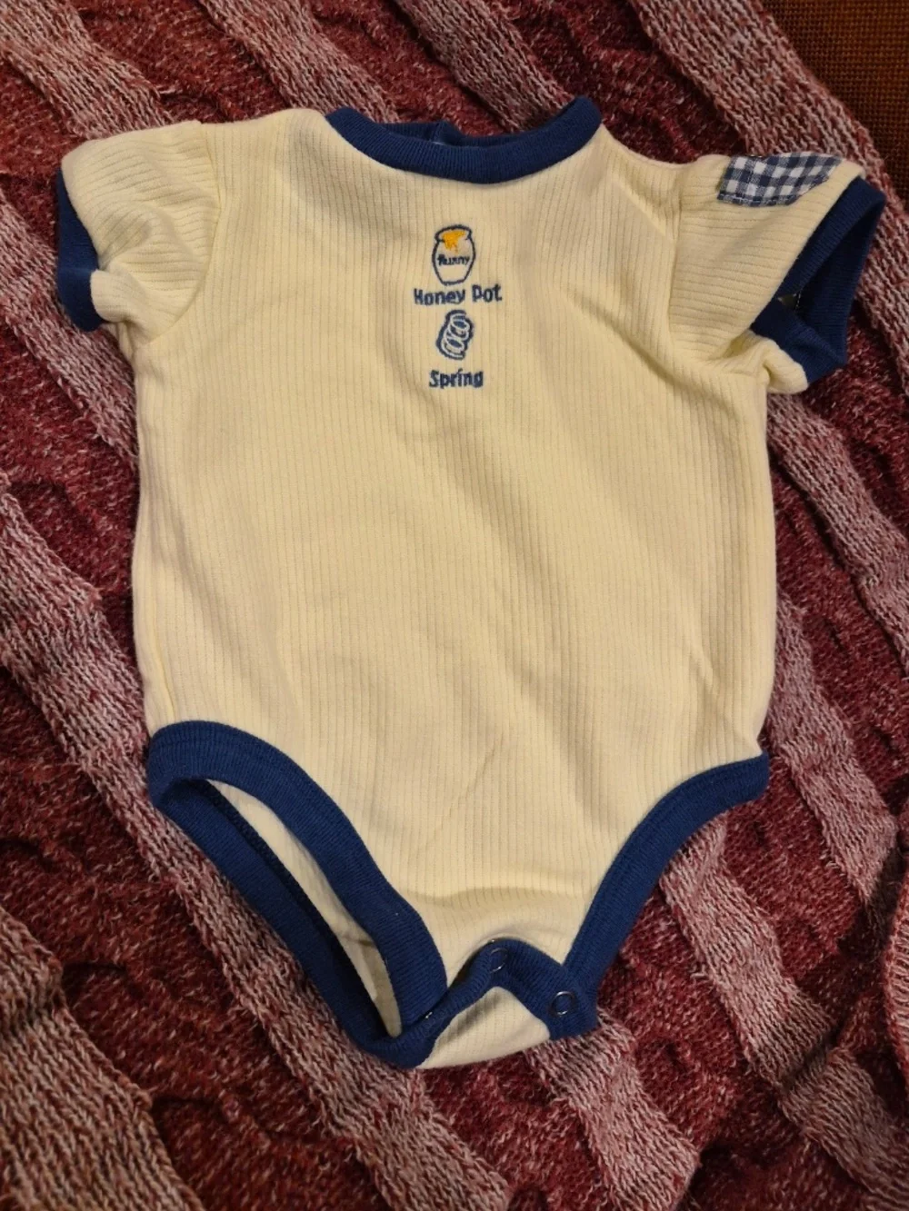 Vintage Disney Pooh 100 Acre Collection Baby Boy Shortalls & Bodysuit Set